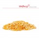 Kukuřice na popcorn Wolfberry BIO 250 g