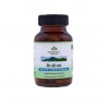 Brahmi Organic India BIO 60 kapslí